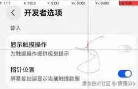 鸿蒙系统开发者选项在哪