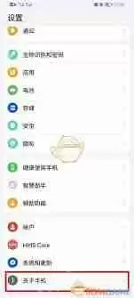 鸿蒙系统开发者选项在哪