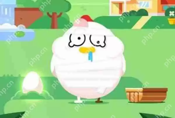 干木耳不用担心保质期的问题这种说法