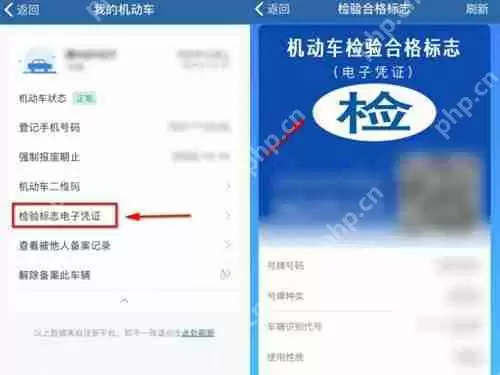 12123电子免检标志怎么看