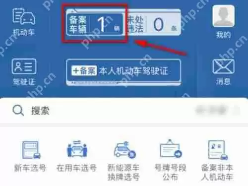 12123电子免检标志怎么看