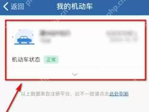 12123电子免检标志怎么看
