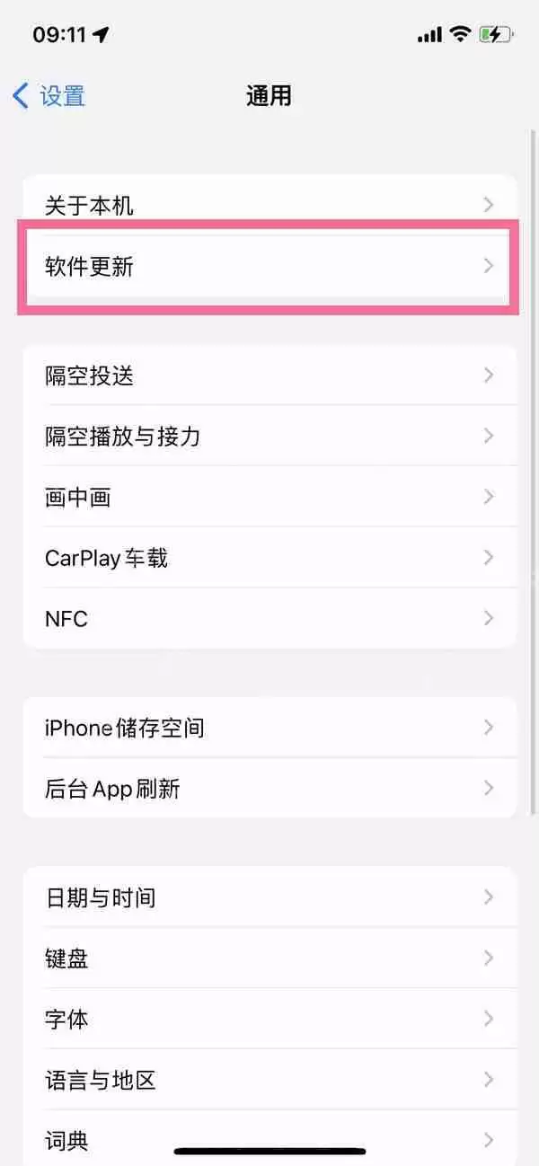 苹果14pro自动更新怎么取消