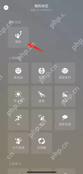 微信喝彩状态怎么设置