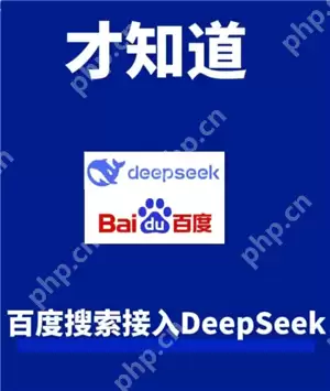 deepseek百度版怎么使用 deepseek百度版和deepseek区别