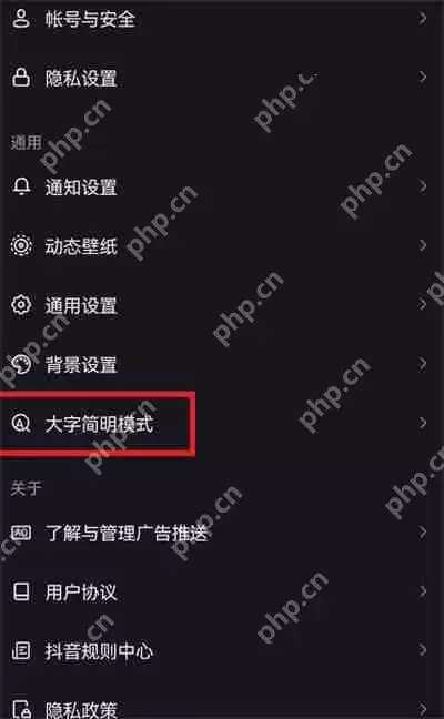抖音怎么开启大字简明模式