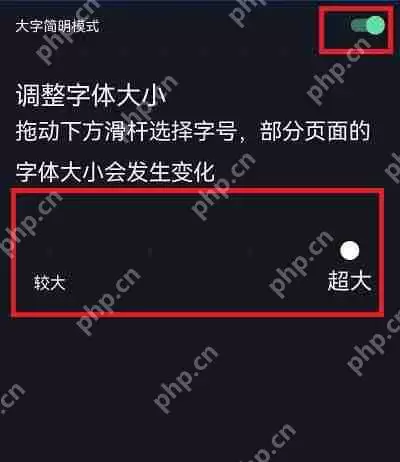 抖音怎么开启大字简明模式