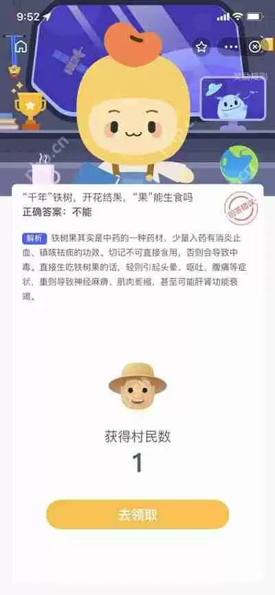 千年铁树开花结果果能生食吗