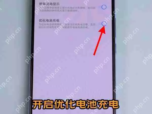 vivo双引擎闪充怎么设置
