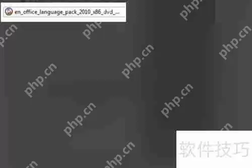 Mac版Excel部分文字变英文如何恢复中文