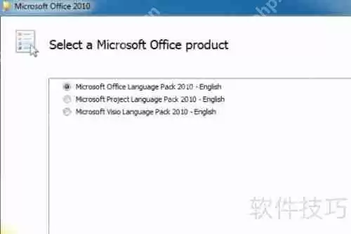 Mac版Excel部分文字变英文如何恢复中文