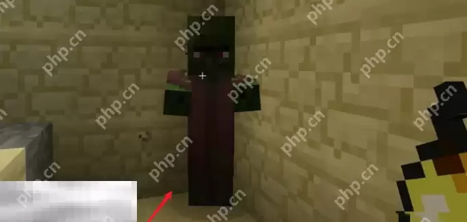 我的世界僵尸村民怎么治愈 2025最新僵尸村民救治方法