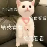 艾格勒姆免票,积分换旧帝国神船,拉格探险黄金时代开启!