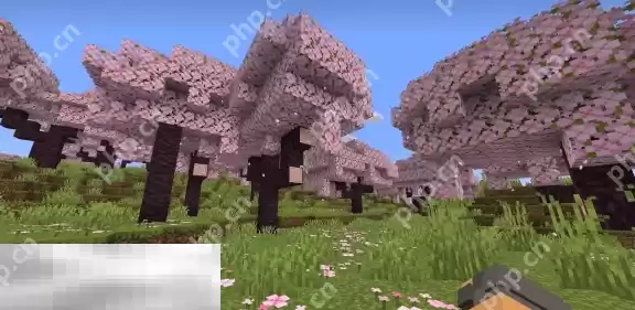 我的世界樱花林坐标指令代码是什么 樱花林快速定位方法