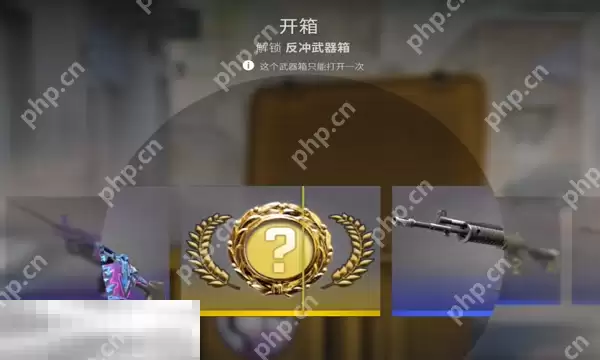 csgo2开箱网站哪个比较好 2025最新csgo开箱网站推荐