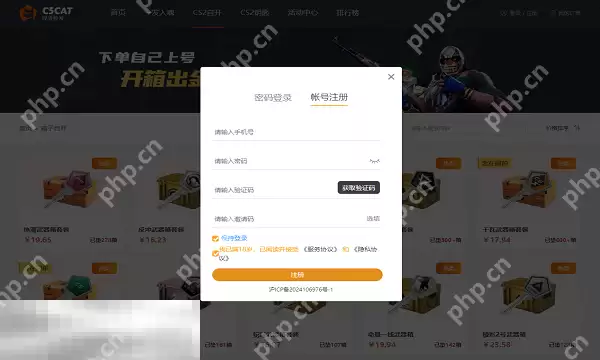 2025最新开箱子csgo网站推荐 老牌csgo开箱网站新手指南