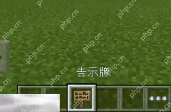 我的世界特殊符号怎么输入 字体颜色代码分享