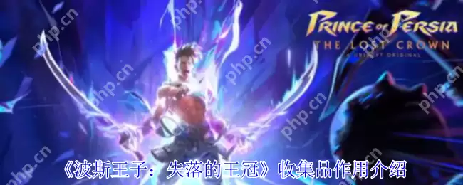波斯王子失落的王冠全收集品作用解析与获取指南