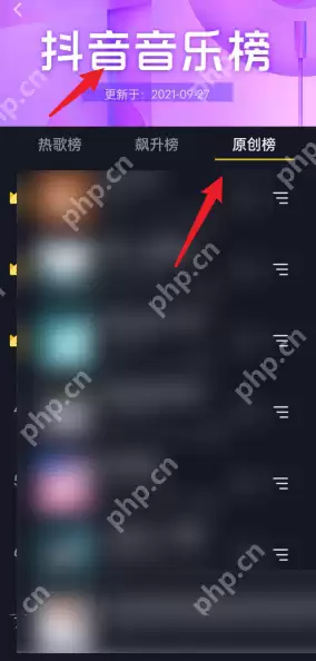 抖音碟片在哪里