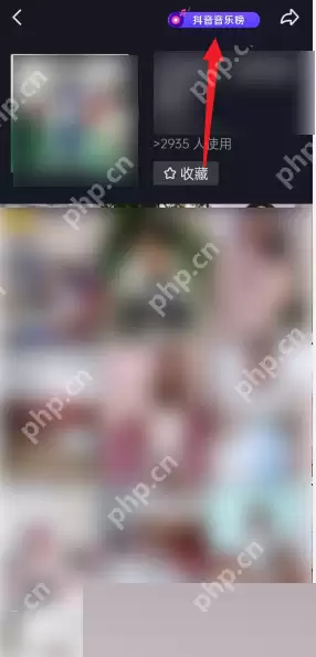 抖音碟片在哪里