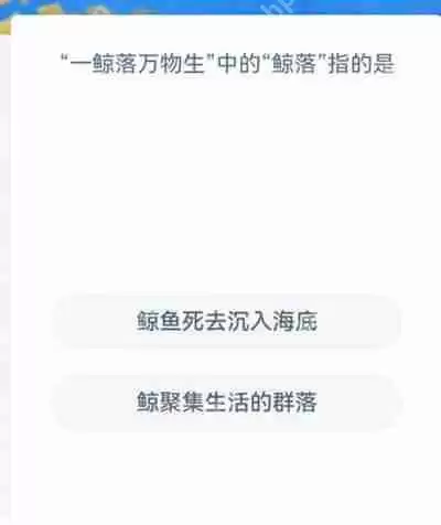 支付宝神奇海洋12.11日正确答案一览
