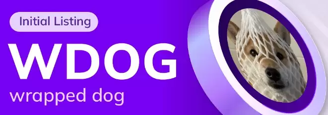 新手如何查看 Wrapped Dog 的价格走势图?