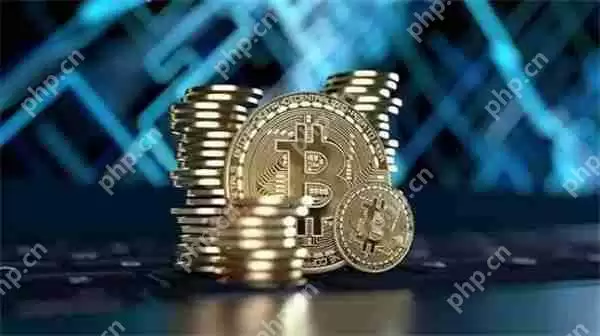 RUFF币值得投资吗 RUFF币介绍