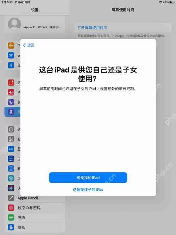 ipad青少年模式怎么设置