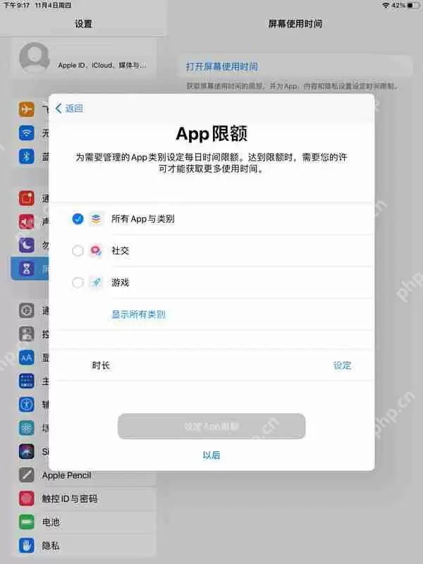 ipad青少年模式怎么设置