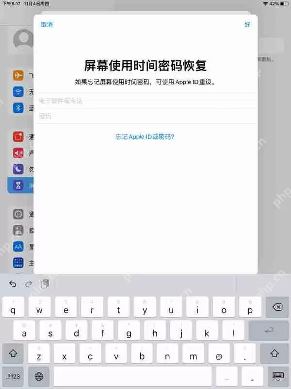ipad青少年模式怎么设置
