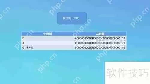 位运算符的运算规则与应用实例