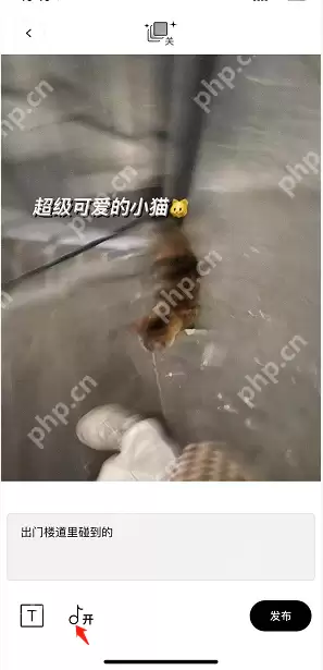 啫喱动态怎么添加配乐