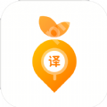 准确度高的翻译软件有哪些 手机拍照翻译精准度高的app推荐