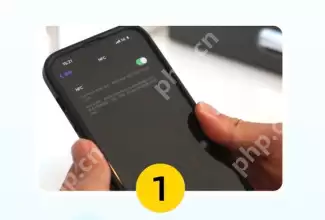 支付宝NFC防疫打卡功能怎么用