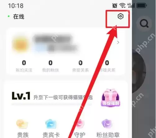 耳旁语音怎么清空聊天记录 耳旁语音清空聊天记录方法