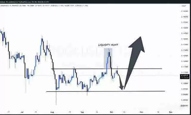 狗狗币最新价格预测:近期价格可能暴涨50% 2030年将涨至3.015