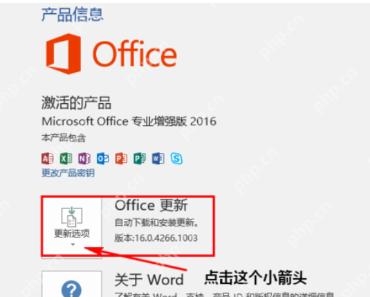 Microsoft office 2016如何禁用更新？Microsoft office 2016禁用更新方法详解