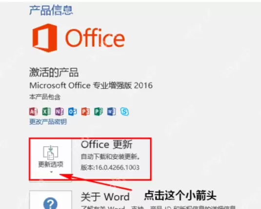 Microsoft office 2016如何禁用更新？Microsoft office 2016禁用更新方法详解
