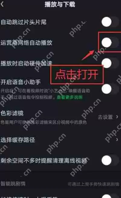 爱奇艺数据网络自动播放视频功能怎么打开