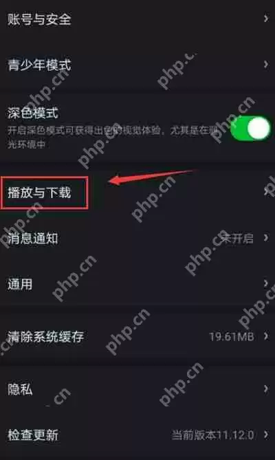 爱奇艺数据网络自动播放视频功能怎么打开