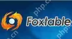 Foxtable怎么锁定项目?锁定项目方法一览
