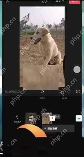 剪映贴纸跟随怎么设置