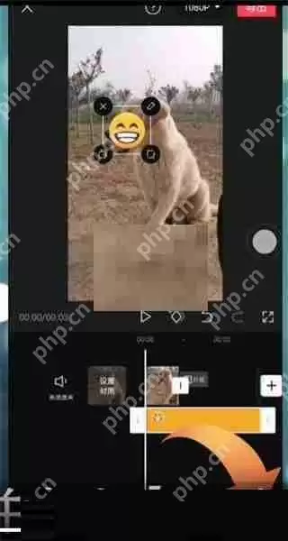 剪映贴纸跟随怎么设置