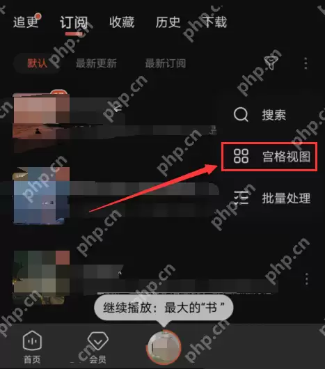 喜马拉雅怎么更改视图?喜马拉雅更改视图方法