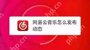 网易云音乐如何发表动态-网易云音乐怎样发布动态