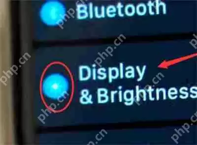 iWatch怎么关闭自动亮度