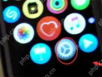 iWatch怎么关闭自动亮度