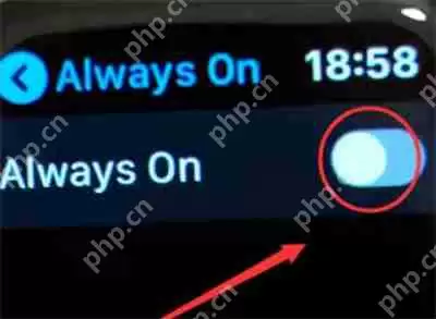 iWatch怎么关闭自动亮度