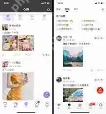 心遇如何查看家族活跃榜-心遇怎样看家族活跃榜