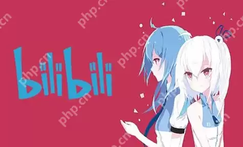 哔哩哔哩播放设置怎么修改